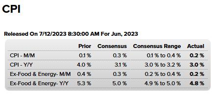 , The CPI Dilemma, Decoding Monthly vs Annual Inflation Rates