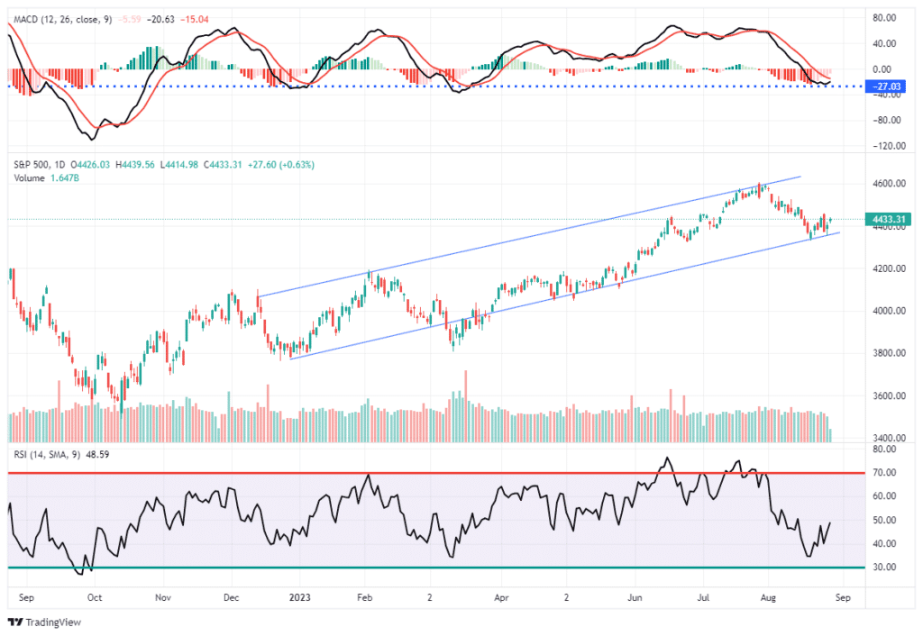 , MACD Bounce To New Highs?