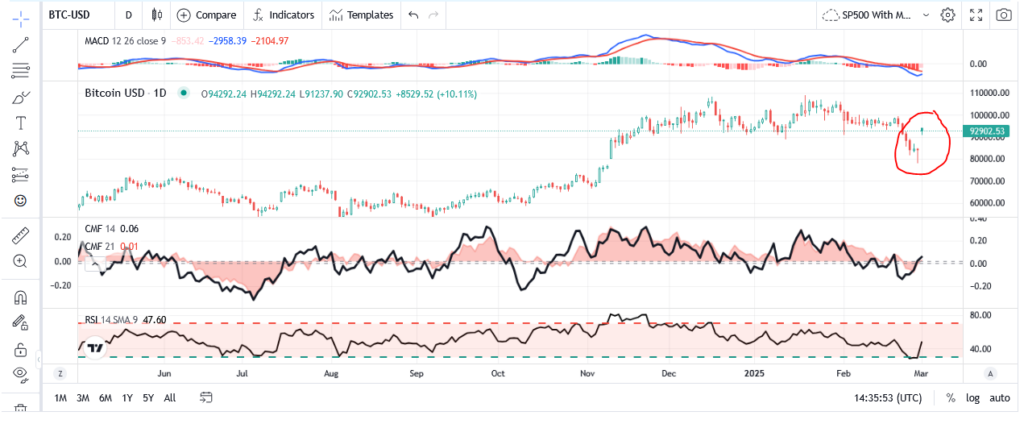 , The Strategic Crypto Reserve – RIA