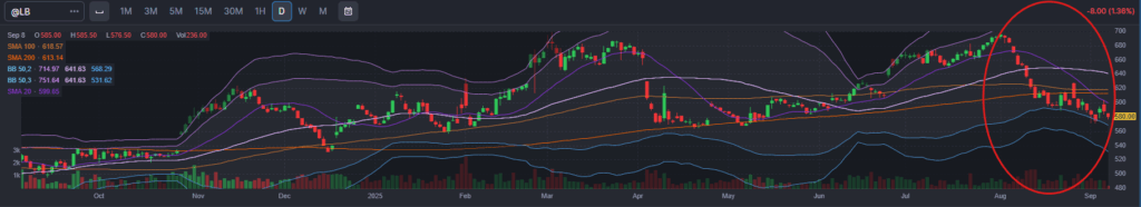 , Healthcare Jobs Keep Labor Market Afloat: But For How Long?