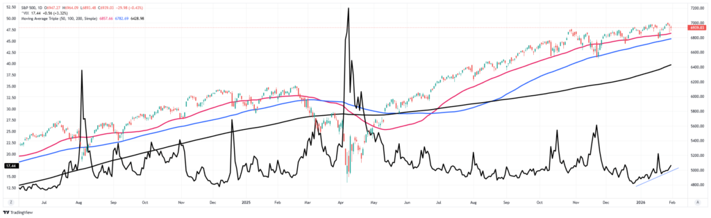 , Bears Are An Endangered Species